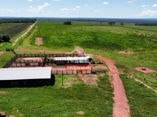 Fazenda 255 Alqueires (1.234 Hectares) Aragarças - GO