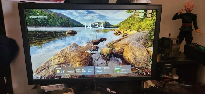 PC gamer