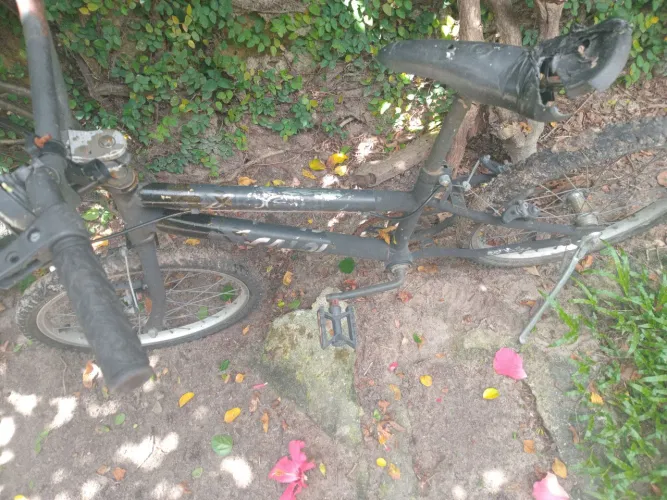 Bicicleta pequena