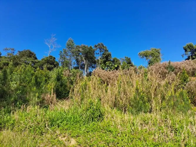 Terreno BENEDITO NOVO - SC