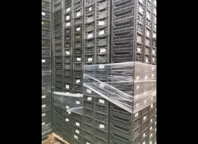 Lote 2000 mil Caixa plástica organizadora 40x30x15 hortifruti média 