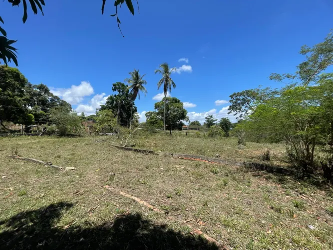 Oportunidade: Terreno 14.000m² no Guajará - Ideal para Loteamento
