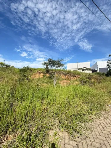 Terreno em Colina do Campo