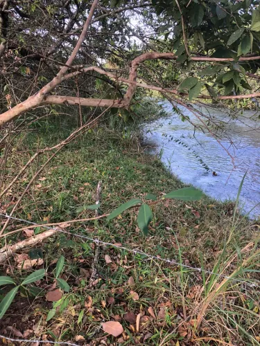 Chácara de 2 hectares às margens do rio Babilônia