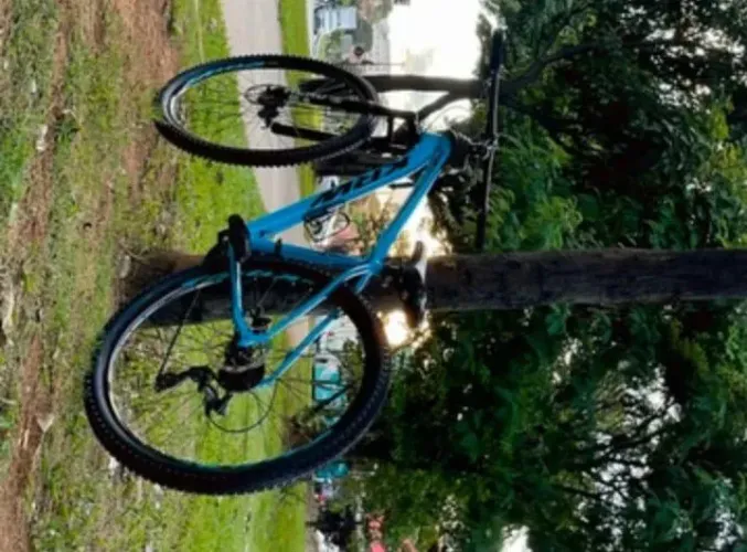 Bicicleta krw 29