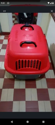 Caixa de cachorros e gatos para viagem