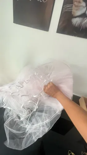 Mosquiteiro