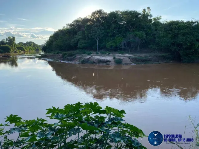 Fazenda à Venda em Iporá-GO  41 Alqueires - 2 km de Rio Caiapó