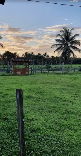 Fazenda Braganca-Pará