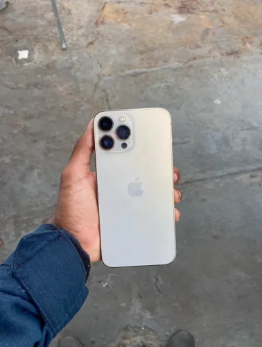 ? iPhone 13 Pro Max 256 GB
