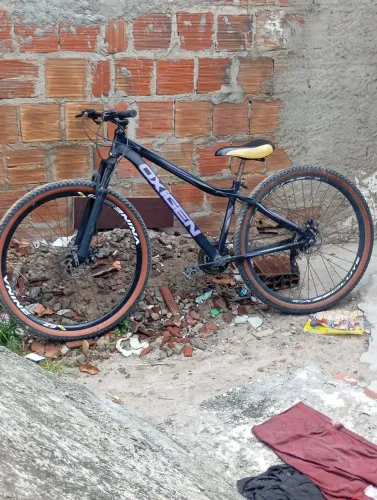 Bicicleta aro 29