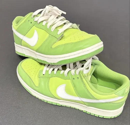 Nike Dunk Clorophil 41