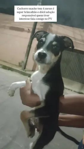 Doação