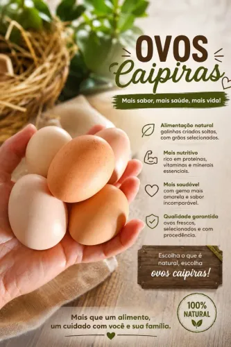 Ovos caipiras de galinhas livres