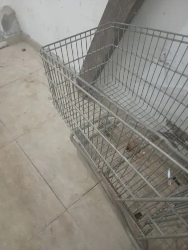 Carrinho de mercado