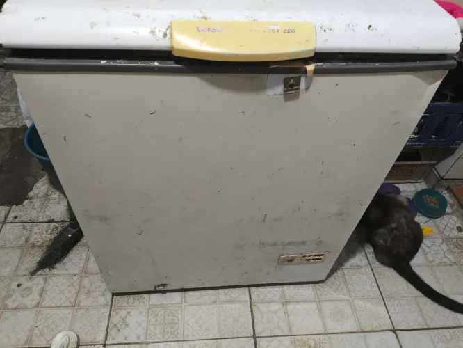 Freezer Consul 220 L 