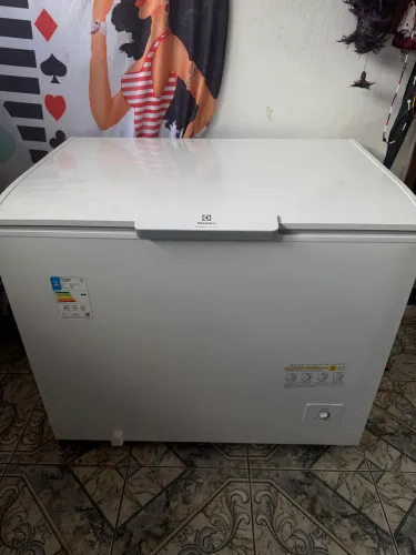 Freezer seminovo 6 meses de uso ( Inverter)