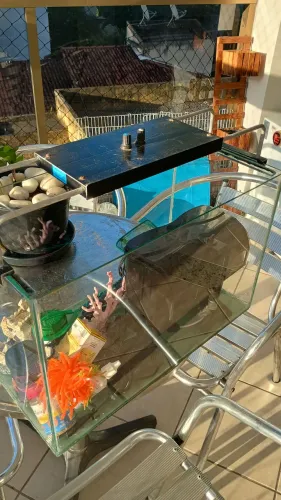 Aquário completo