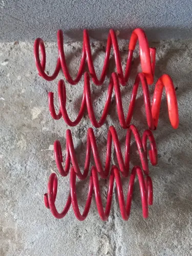 Molas esportivas