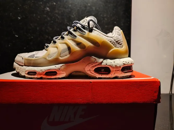 Air Max plus terrascape original 