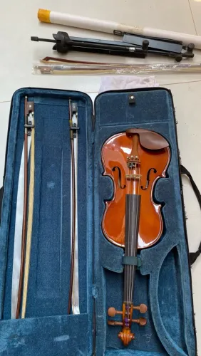 Violino Eagle Montado Em Ébano Ve441 Completo