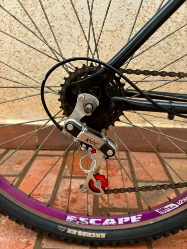 BICICLETA 2 LUGARES