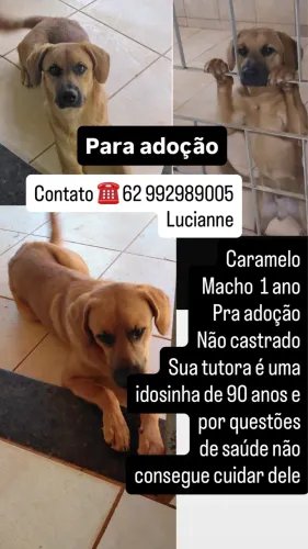Doação de caramelo