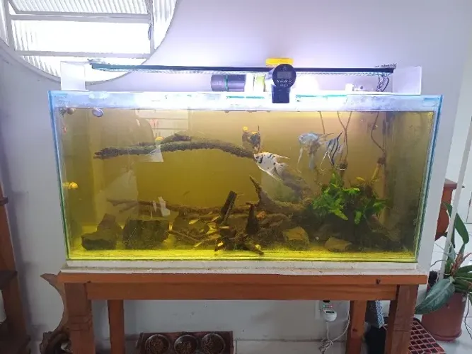 Aquário de 120 x 40 x 55 cm