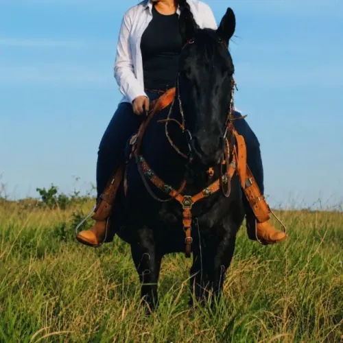 Cavalo e Potra