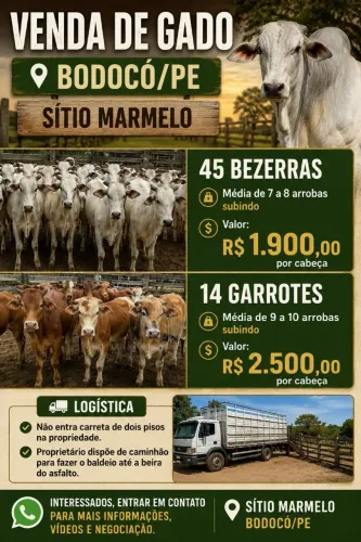 45 Bezerras e 14 Garrotes [7,8,9,10@]
