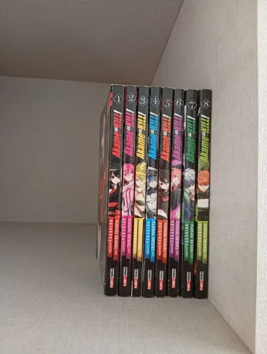 Lote de Mangás: Akame Ga kill
