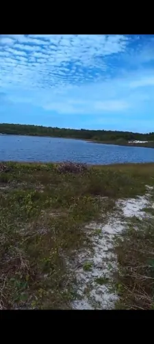 Vende-se área com 7hectares no Município de Aningas valorR$150mil reais