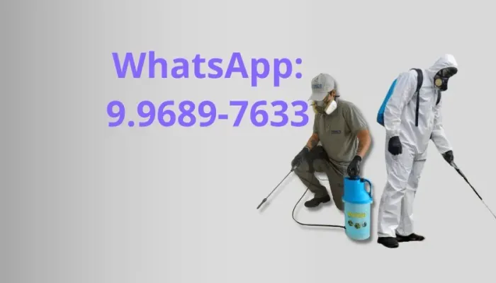 dedetização sem cheiro 