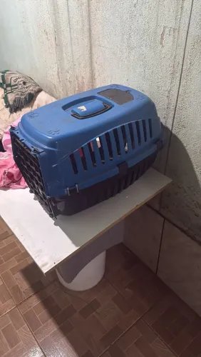 Vende-se caixa de transportar cachorro