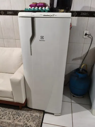Geladeira Electrolux Cycle Defrost 240L Degelo Prático (RE31) Classe A 220 Volts