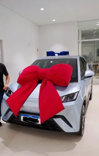Alugo Dolohin mini