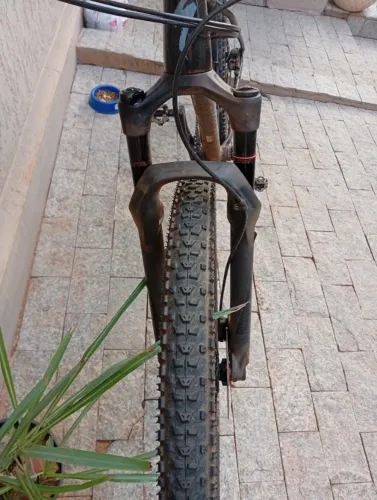 Bike 29 Specialized