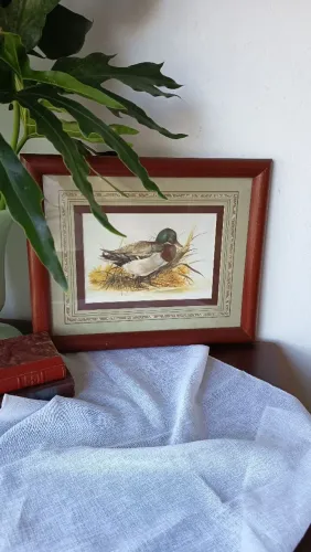 Dupla quadro gravura patos selvagens