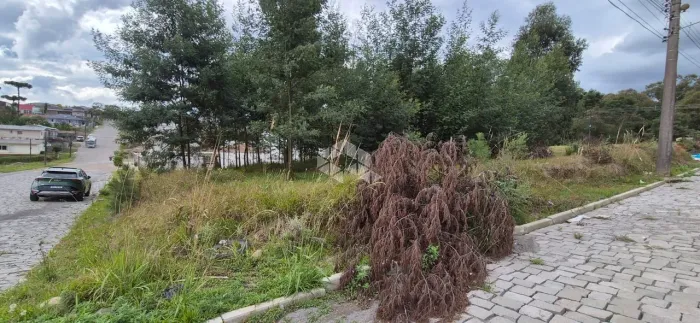 Terreno no Bairro São Francisco. 824 metros quadrados