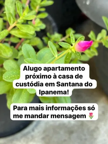 ALUGO APT EM SANTANA DO IPANEMA