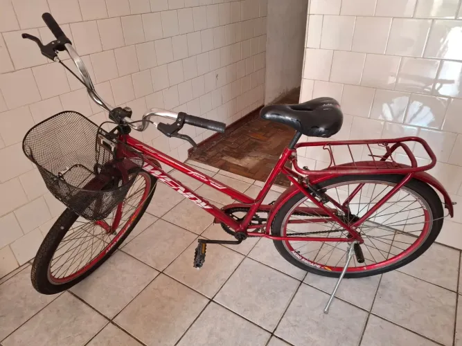 Bicicleta poti adulto.