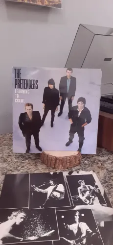 Vinil The Pretenders