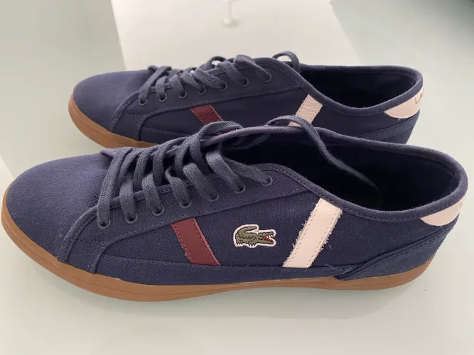 Tênis Lacoste masculino 42