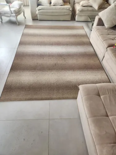 Tapete Grande para Sala - 2,90 x 1,97 m - Ótimo Estado