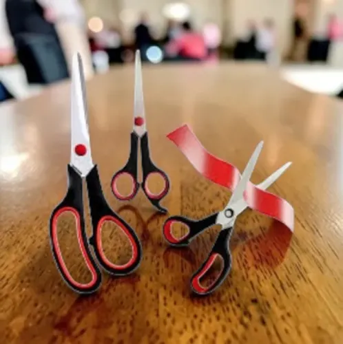 Kit Tesouras para Diversos Usos