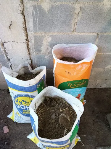 Esterco de galinha 20kg