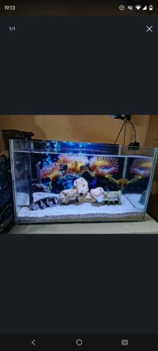 Vendo aquário marinho todo completo