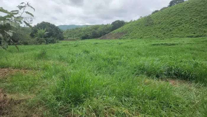 Imóvel para venda possui 943100 metros quadrados em Centro - Alagoa Grande - PB