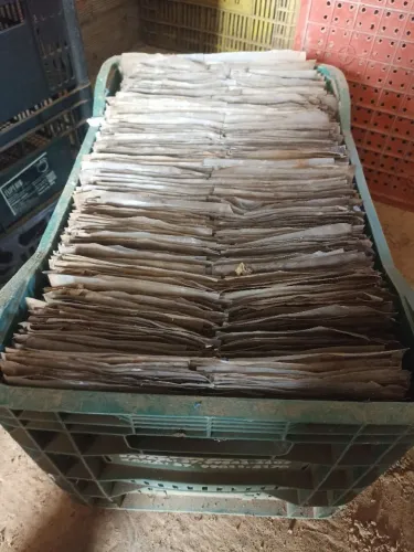 Vendo plástico pra cobrir uva