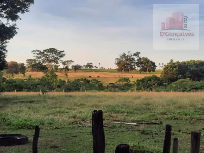 Chácara com 3,6 hectares, toda formada com capim, curral com embarcador, pomar, açude. A 2